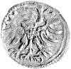 denar 1555, Elbląg, Kurp. 989 R3, Gum. 654, T. 7, rzadka moneta z ładną patyną.