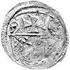 denar 1555, Elbląg, Kurp. 989 R3, Gum. 654, T. 7, rzadka moneta z ładną patyną.