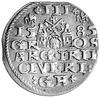 trojak 1585, Ryga, odmiana z krzyżykami i lilijkami po bokach III, Kurp. 450 R, Gum. 814.