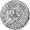 grosz 1507, Nysa, odmiana z pełną datą nad tarczą herbową, Fbg. 777.n, rzadki.