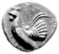 Sycylia- Himera, drachma- okres archaiczny 530-510 pne, Aw: Kogut stojący w lewo, Rw: Gęś stojąca ..