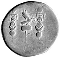 cystofor (3 denary), mennica Efez, Aw: Głowa cesarza w wieńcu w prawo i napis IMP CAESAR DOMITIAN ..