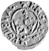 półgrosz koronny, Aw: Korona, w otoku napis przedzielony rozetą, Rw: Orzeł i napis w otoku, Gum.467
