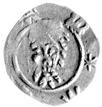 Zygmunt 1419-1437, halerz, Wrocław, Aw: Głowa św. Jana, w otoku litery M.W.M.W., Rw: Lew czeski, p..