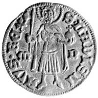 Zygmunt 1387-1437, goldgulden, Nagy Banya (1404-1405), Aw: Czteropolowa tarcza herbowa, w otoku na..