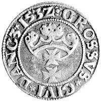 grosz 1532, Gdańsk, odmiana z dużą rozetką po obu stronach, Kurp. 448 R, Gum. 559