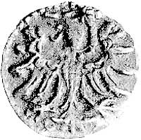 denar 1554, Gdańsk, Kurp. 925 R3, Gum. 640, T. 8, rzadki