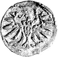 denar 1555, Elbląg, Kurp. 989 R3, Gum. 654, T. 7, rzadki