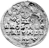 trojak 1596, Wilno, odmiana z herbem Chalecki pomiędzy gałązkami, Kurp. 2141 R7, Gum. 1337, T. 18,..