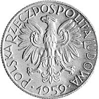 5 złotych 1959, Rybak, na rewersie wypukły napis