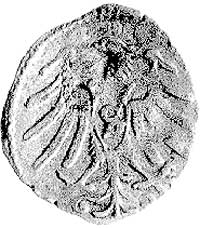 denar 1563, Królewiec, Neumann 49, Bahr. 1230