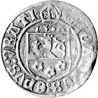 grosz 1507, Nysa, odmiana z datą 15•^ nad tarczą herbową, Fbg. 777 d