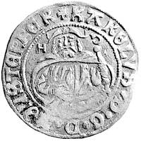 grosz 1519, Złoty Stok, odmiana litery H - D w polu na awersie, Fbg. 759 b, rzadki