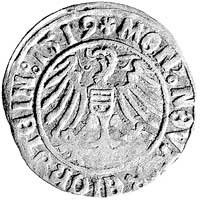 grosz 1519, Złoty Stok, odmiana litery H - D w polu na awersie, Fbg. 759 b, rzadki