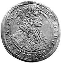 Leopold I 1657-1705, talar 1704, Praga, Aw: Popiersie, Rw: Orzeł cesarski z lwem czeskim na piersi..