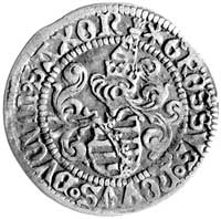 Fryderyk III, Jerzy i Jan 1500-1507, grosz bez roku, Aw: Tarcza Kurfürsta w kartuszu, Rw: Herb Sak..