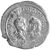 AE-28, Aw: Popiersia Gordiana i Trankiliny zwróc