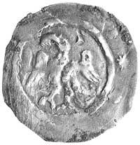 Leopold V 1177-1194, fenig, mennica Krems, Aw: Kroczący orzeł w lewo, Rw: Książę na koniu, B. Koch..