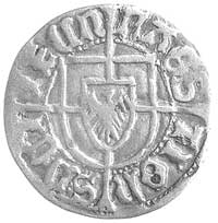 Jan von Tiefen 1489-1497, szeląg, Aw: Tarcza Wielkiego Mistrza i napis MAGS-TIOH-S.DE.T-IFEN, Rw: ..