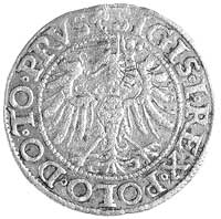 grosz 1539, Elbląg, drugi egzemplarz