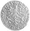 grosz 1545, Kraków, odmiana z dwoma różyczkami pod napisem, Kurp. 56 R4, Gum. 458 R, T. 10, rzadki