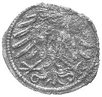 denar bez daty, Elbląg, Kurp. 551 R3, Gum. 579
