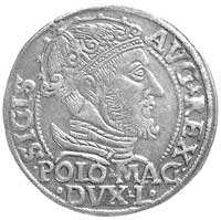 grosz na stopę polską 1547, Wilno, Kurp. 763 R, Gum. 610, ładny egzemplarz ze starą patyną