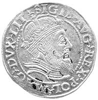 grosz na stopę litewską 1559, Wilno, Kurp. 795 R3, Gum. 615, T. 12, rzadki