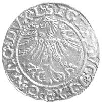 półgrosz 1562, Wilno, odmiana z herbem Topór w otoku, Kurp. 726 R4, Gum. 603, T. 3, rzadki