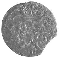 denar 1623, Łobżenica, Kurp. 1860 R3, Gum. 1494