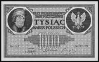 1.000 marek polskich 17.05.1919, seria AA, Miłczak 22e, Pick 22