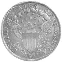 1 dolar 1799, Aw: Głowa Wolności, data i 13 gwiazdek, Rw: Herb i napis w otoku