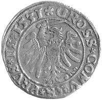 grosz 1531, Toruń, Aw: SISIGIS IX PO DO TOCI PRV