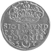 grosz 1546, Kraków, Kurp. 57 R1, Gum. 488