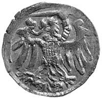 denar bez daty, Elbląg, Kurp. 551 R3, Gum. 579, ładna i rzadka moneta