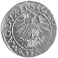 półgrosz 1562, Wilno, odmiana z herbem Topór pod Pogonią, podobny Kurp. 726 R4 ale odmiana napisu ..