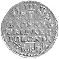 trojak 1589, Poznań, litery I-D po bokach herbu 