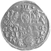 trojak 1598, Wilno, odmiana z herbem Łabędź po prawej stronie, H-Cz. 5063 R5, Kurp. 1598 R7, T. 20..