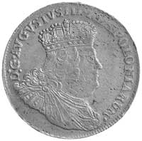 dwuzłotówka (8 groszy) 1753, efraimek, drugi egzemplarz ale odmiennego rysunku