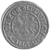 półgrosz 1518, Świdnica, Fbg. 364, jak na ten typ monety wyjątkowo piękny egzemplarz