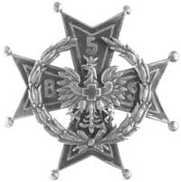 odznaka oficerska 5 batalionu sanitarnego, srebro 45.0 x 45.0 mm, pokryte czerwoną i niebieską ema..