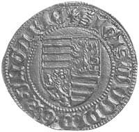goldgulden, Nagybanya (1404- 1405), Nagybanya, A