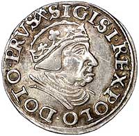 trojak 1539, Gdańsk, odmiana z rozetkami po bokach III i daty, Kurp. 521 R1, Gum. 572