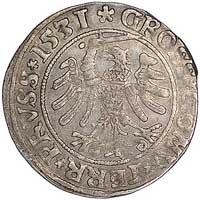 grosz 1531, Toruń, Kurp. 209 R, Gum. 527, patyna, moneta bardzo ładnie zachowana