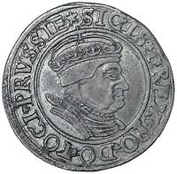 grosz 1534, Toruń, Kurp. 336 R1, Gum. 530, bardzo ładna moneta