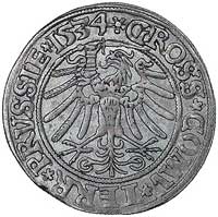 grosz 1534, Toruń, Kurp. 336 R1, Gum. 530, bardzo ładna moneta