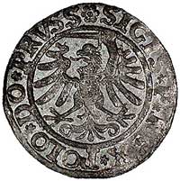szeląg 1533, Elbląg, Kurp. 571 R, Gum. 580, ładnie zachowana moneta