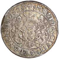ort 1620, Gdańsk, na awersie ozdobna rozetka kończy napis, Kurp. 2281 R3, Gum. 1389, moneta rzadka..