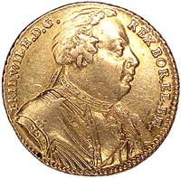 Fryderyk Wilhelm I 1713-1740, 1/2 wilhelmsdora 1