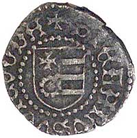 Stefan III 1457-1504, grosz, Aw: Głowa wołu (herb Mołdawii), napis w otoku MONETA MOLDAVIE, Rw: He..